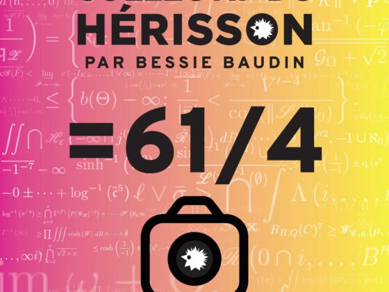 Le Collectif du Hérisson - Arles 2022